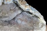 Crystal Filled Dugway Geode (Polished Half) - Utah #176752-1